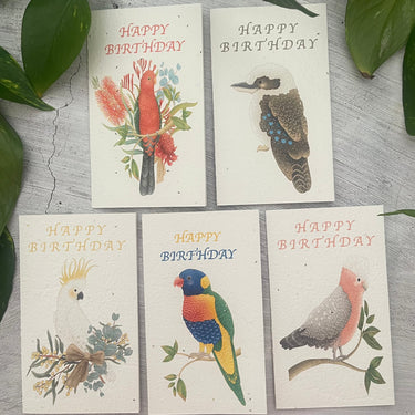 5 Plantable Australian Birds Birthday Cards Bundle