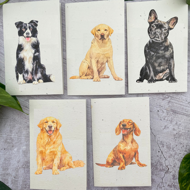 5 Plantable Dog Generic Cards Bundle