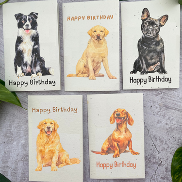 5 Plantable Dog Birthday Cards Bundle