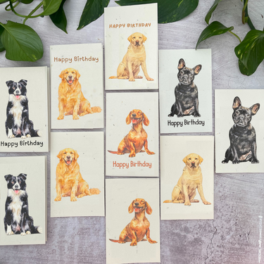 10 Plantable Dog Cards Bundle