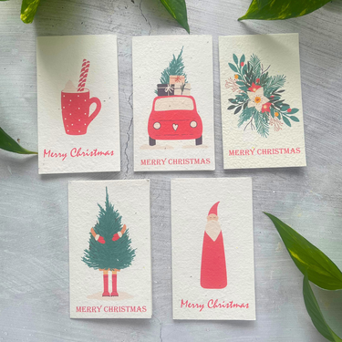 5 Plantable Christmas Cards Bundle