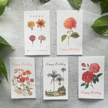 5 Plantable Floral Birthday Cards Bundle