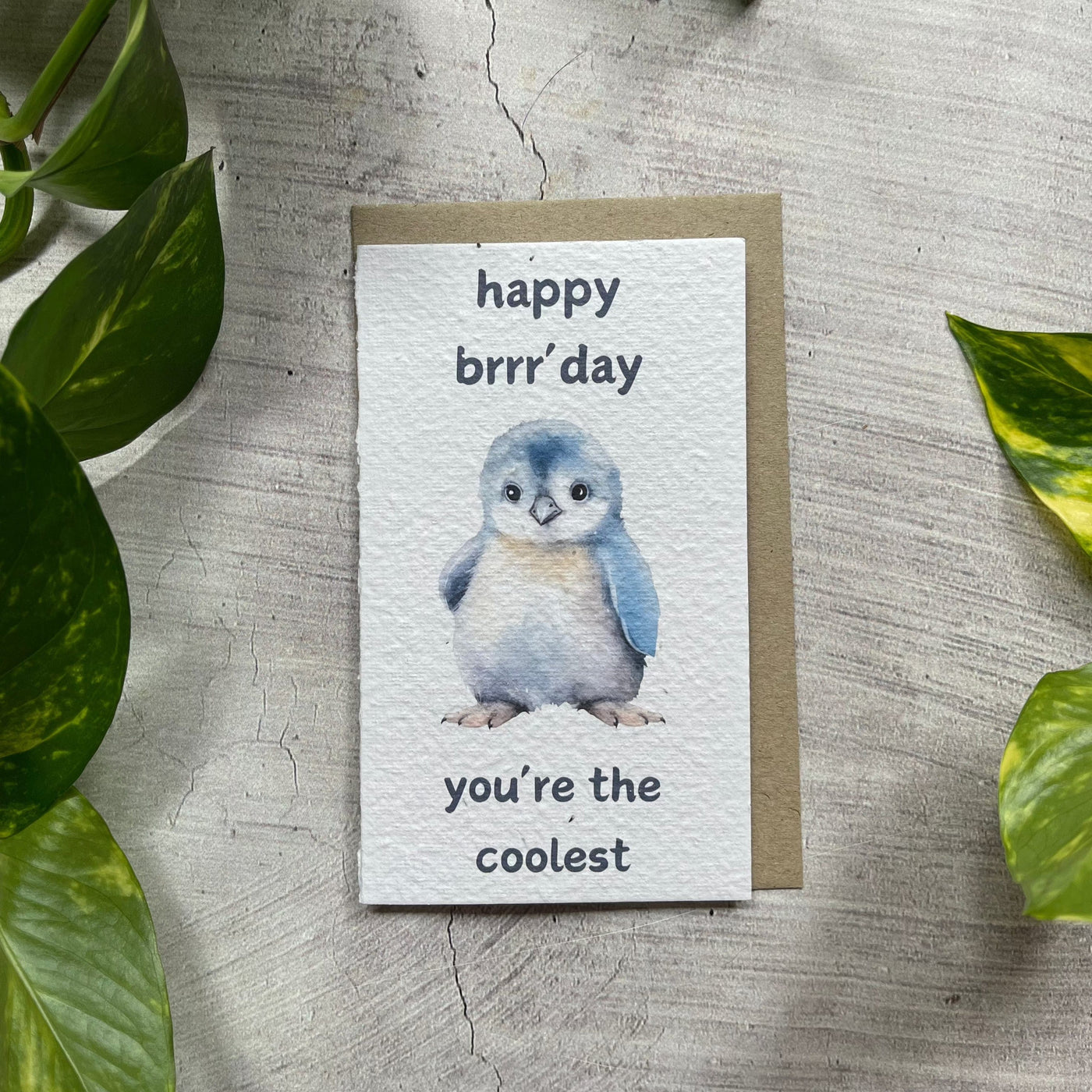 Plantable Penguin Funny Card