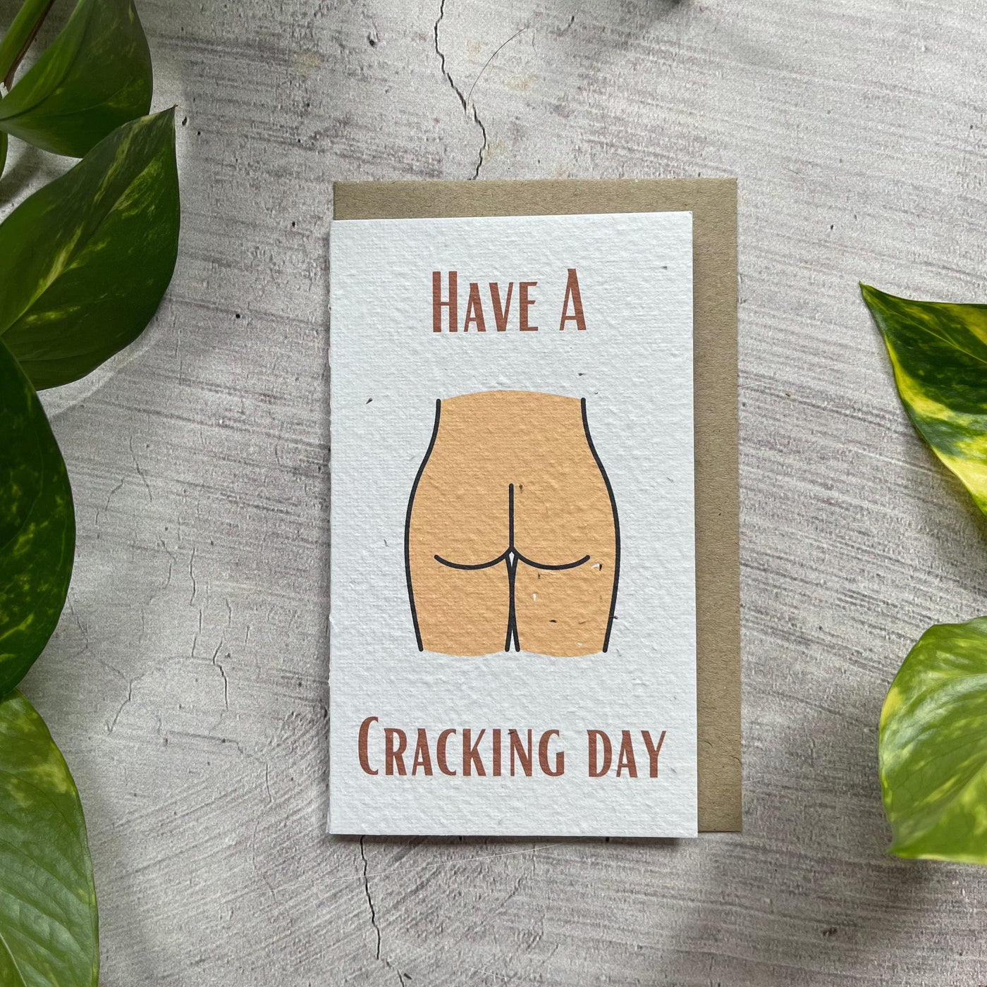 Plantable Have A Cracking Day Funny Card