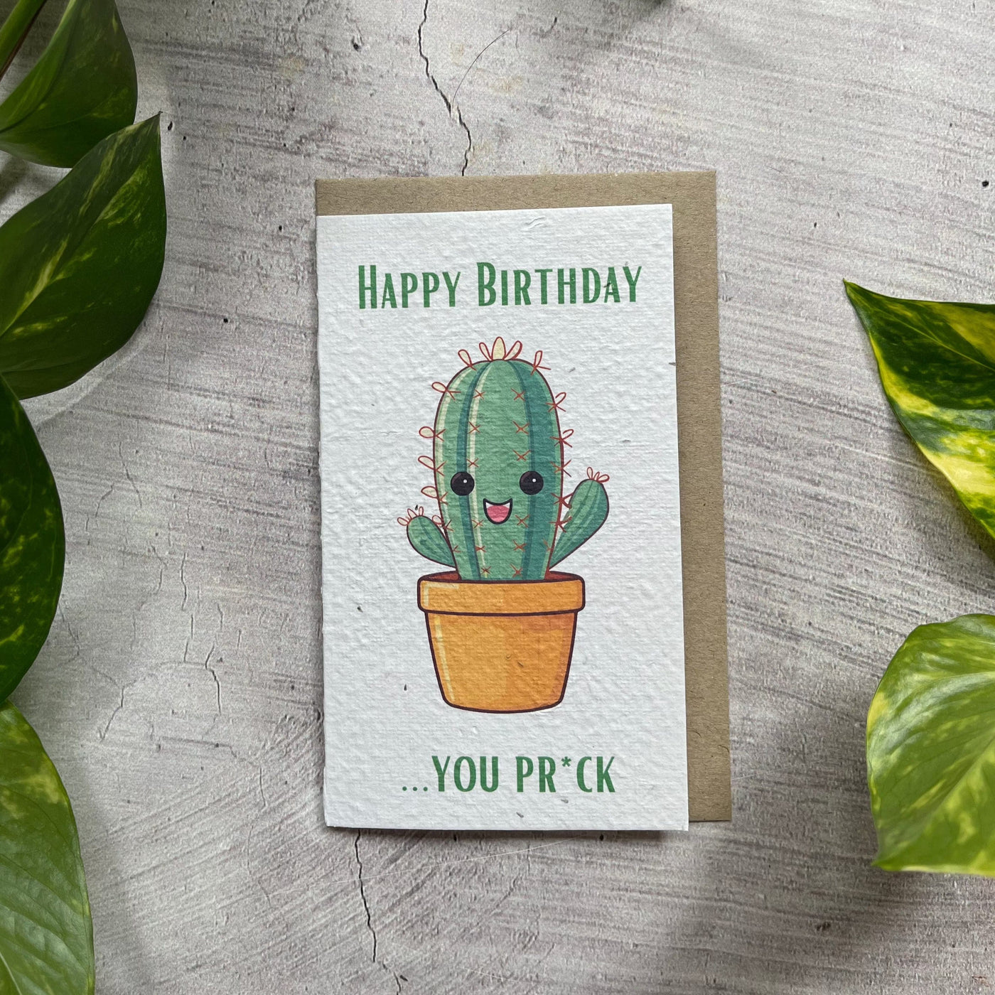 Plantable Cactus Funny Card