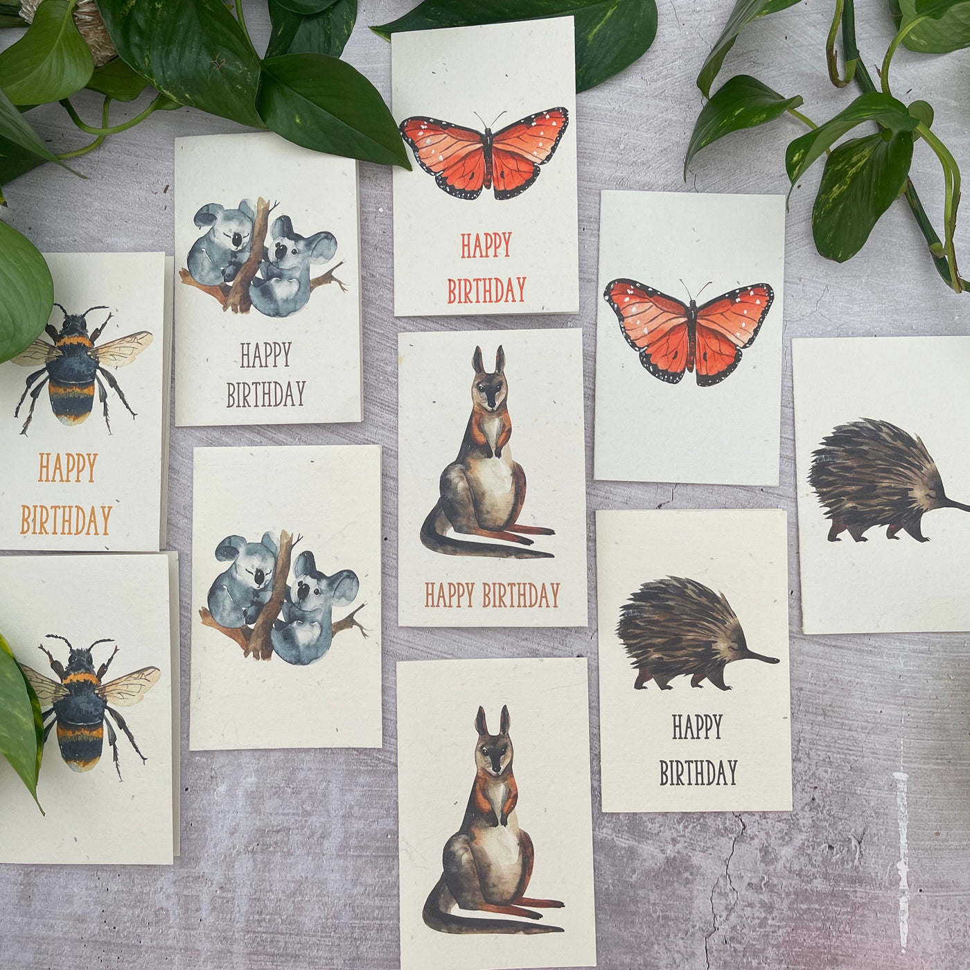 30 Plantable Cards Deluxe Pack