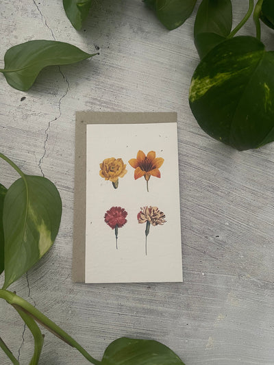 5 Plantable Generic Floral Cards