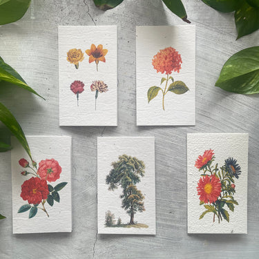 5 Plantable Generic Floral Cards Bundle