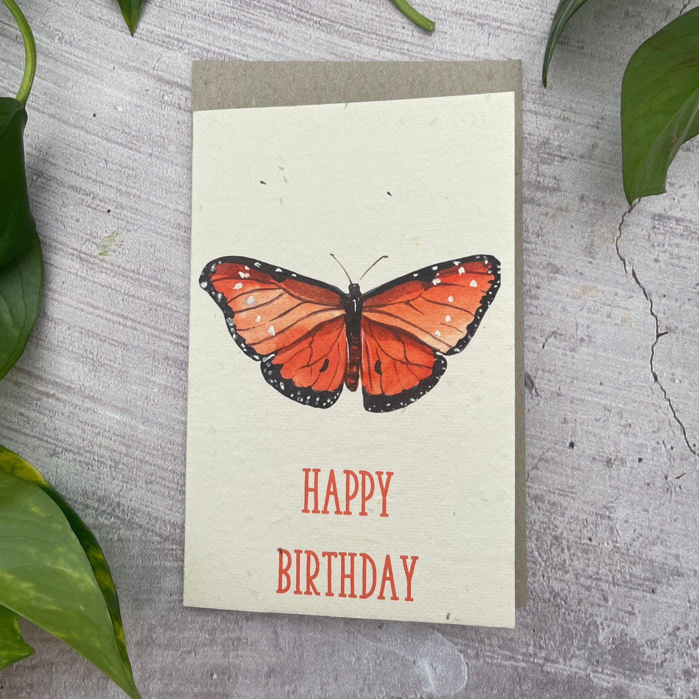 Plantable Butterfly Birthday Card