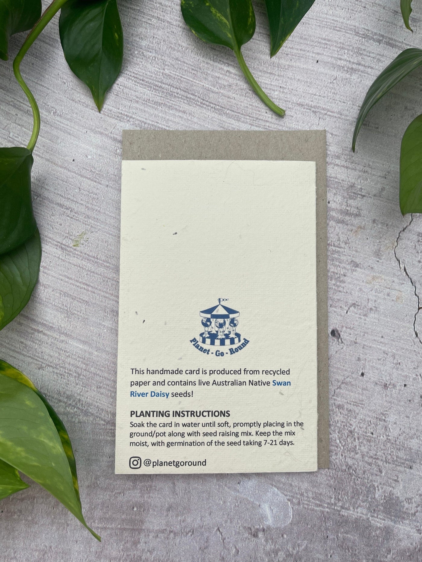 Plantable Echidna Generic Card