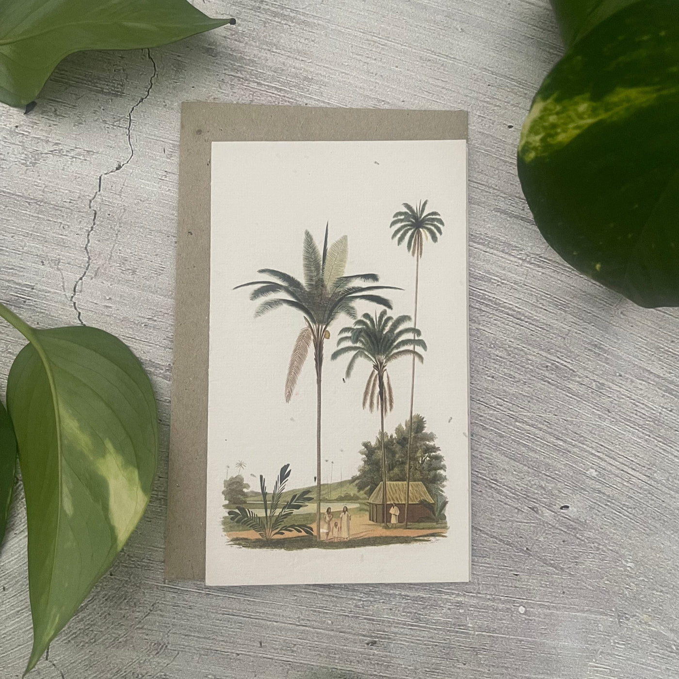 Plantable 'Palms' Generic Card