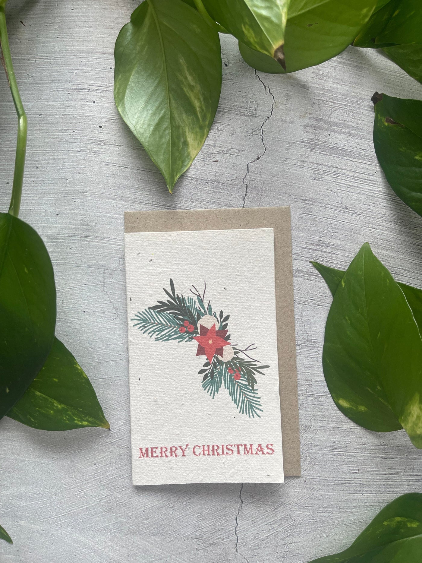 Plantable 'Mistletoe' Christmas Card