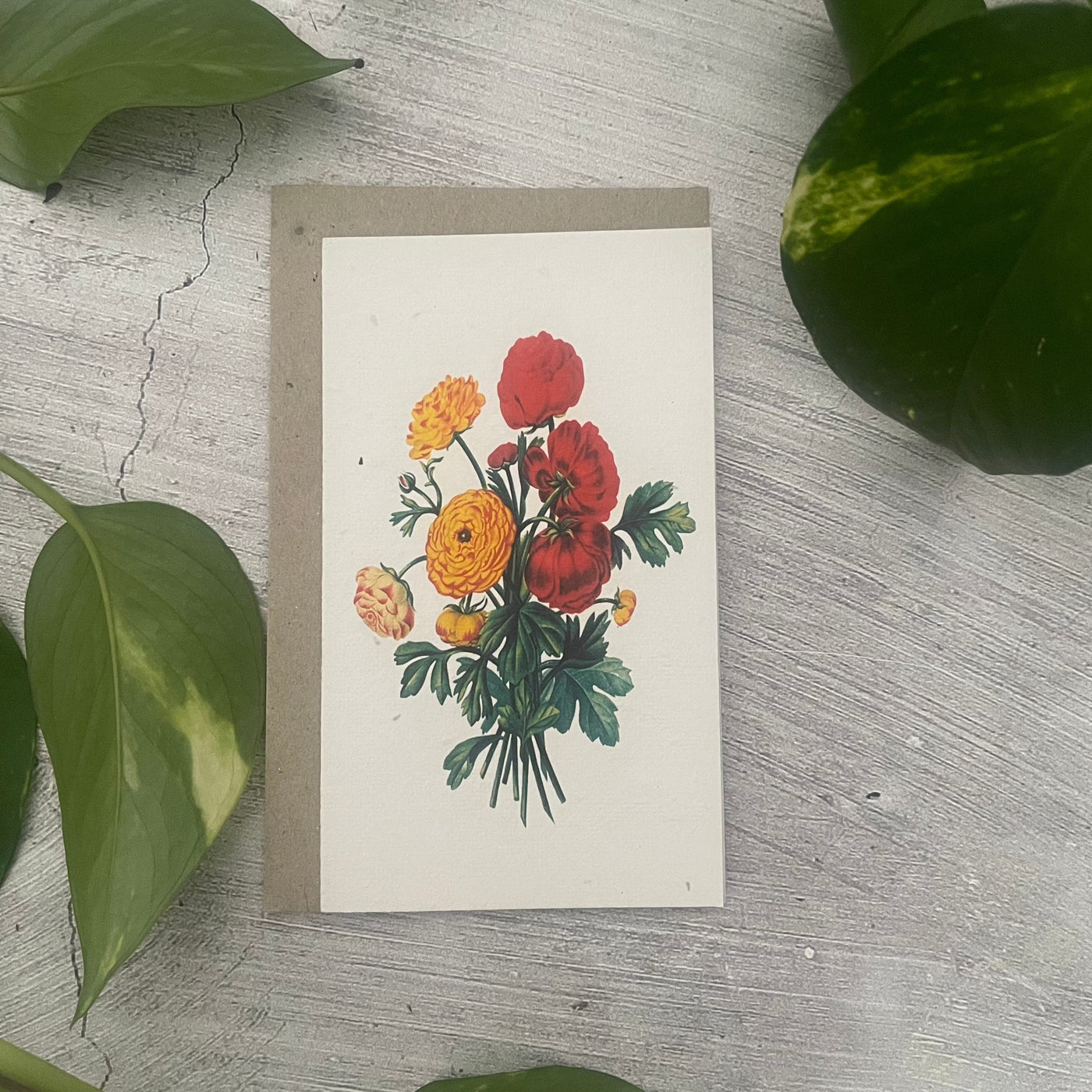 Plantable 'Roses' Generic Card