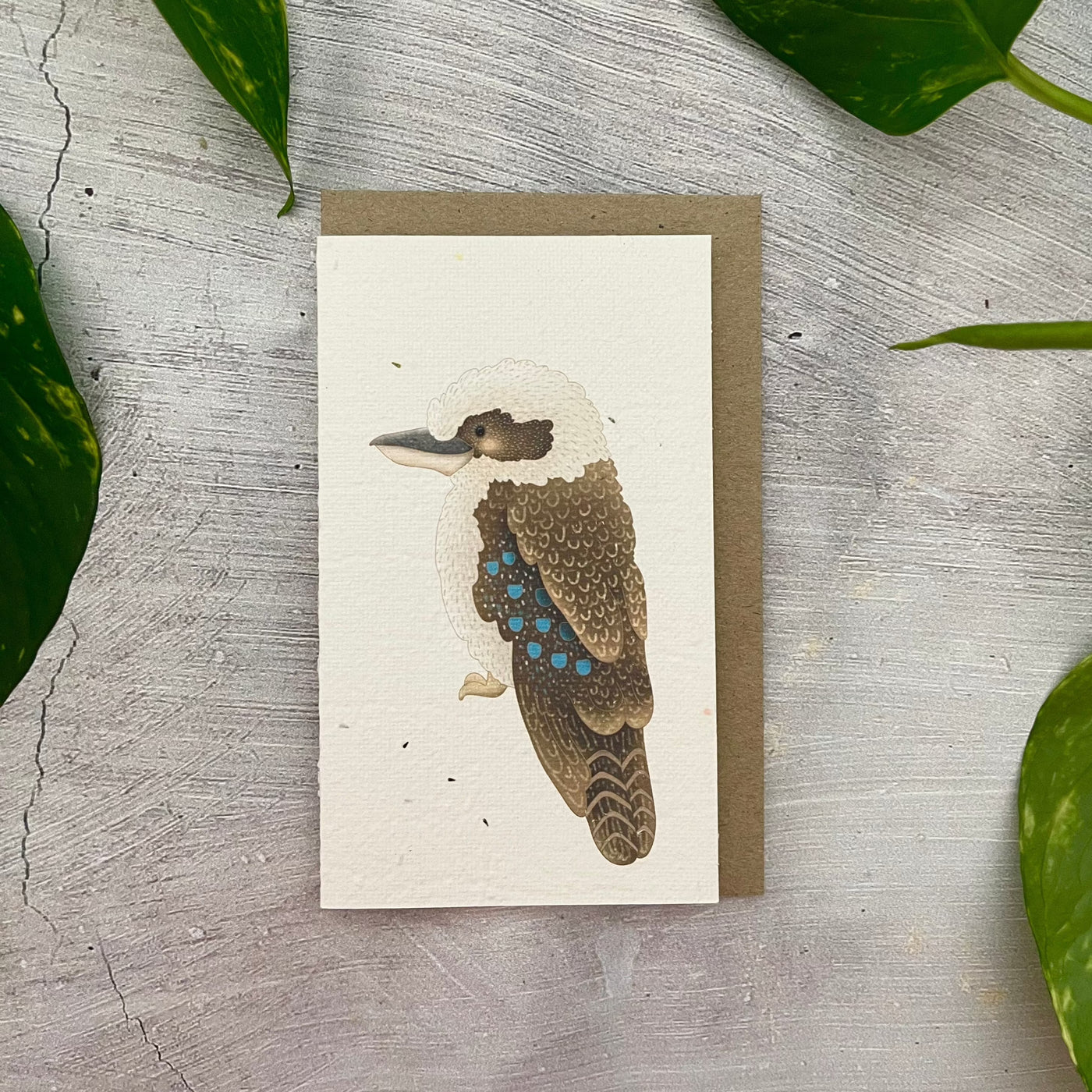 Plantable 'Kookaburra' Generic Card