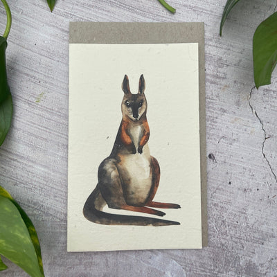 Plantable Kangaroo Generic Card