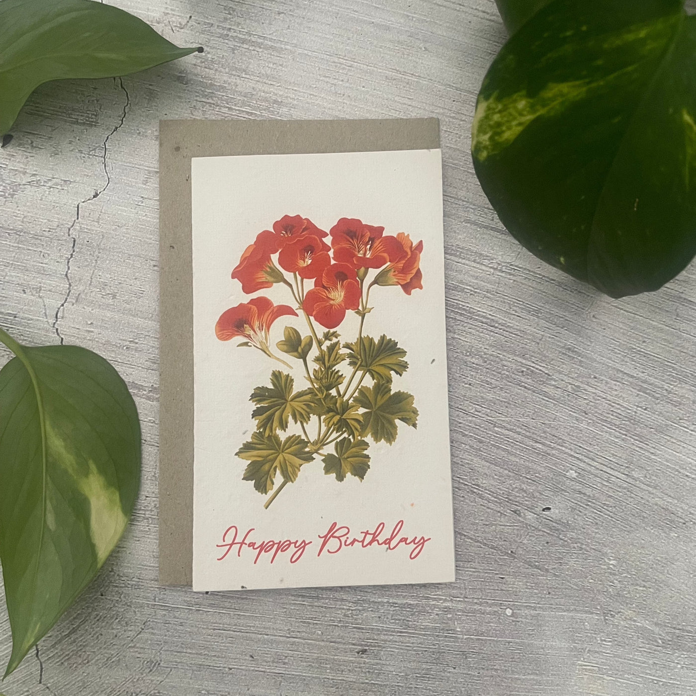Plantable 'Poppy' Birthday Card