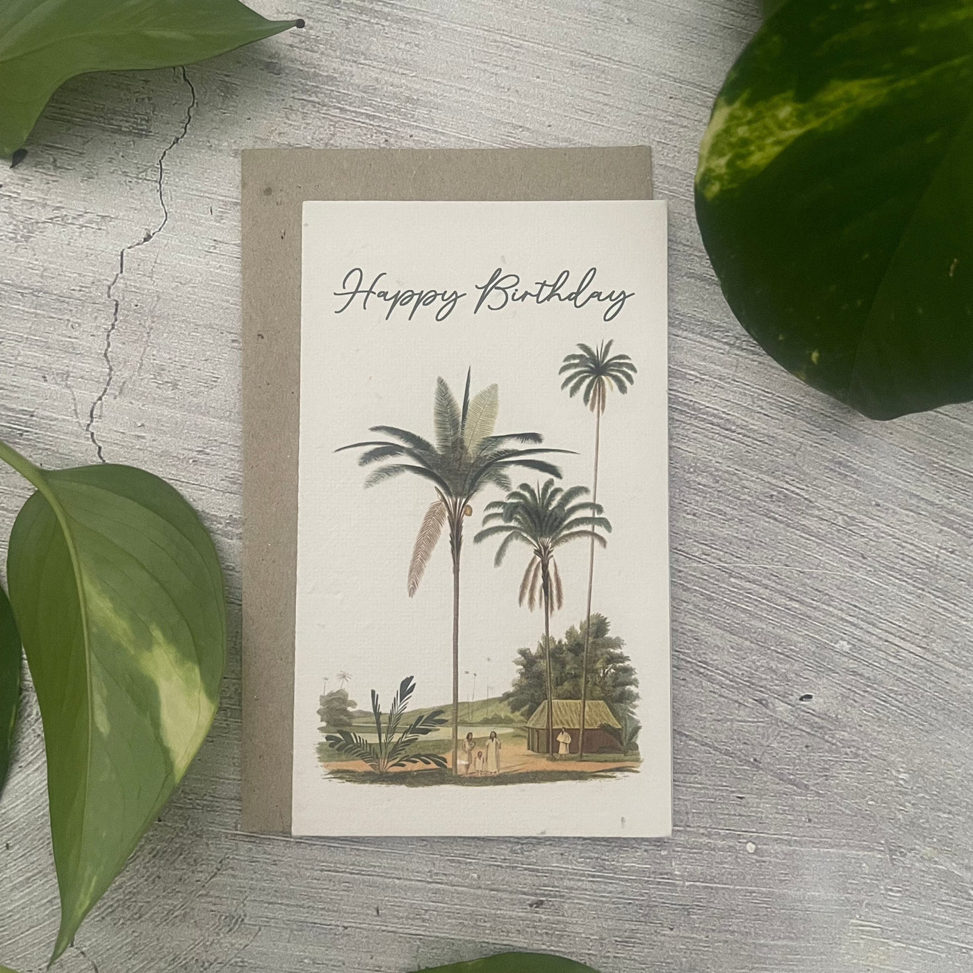 Plantable 'Palms' Birthday Card