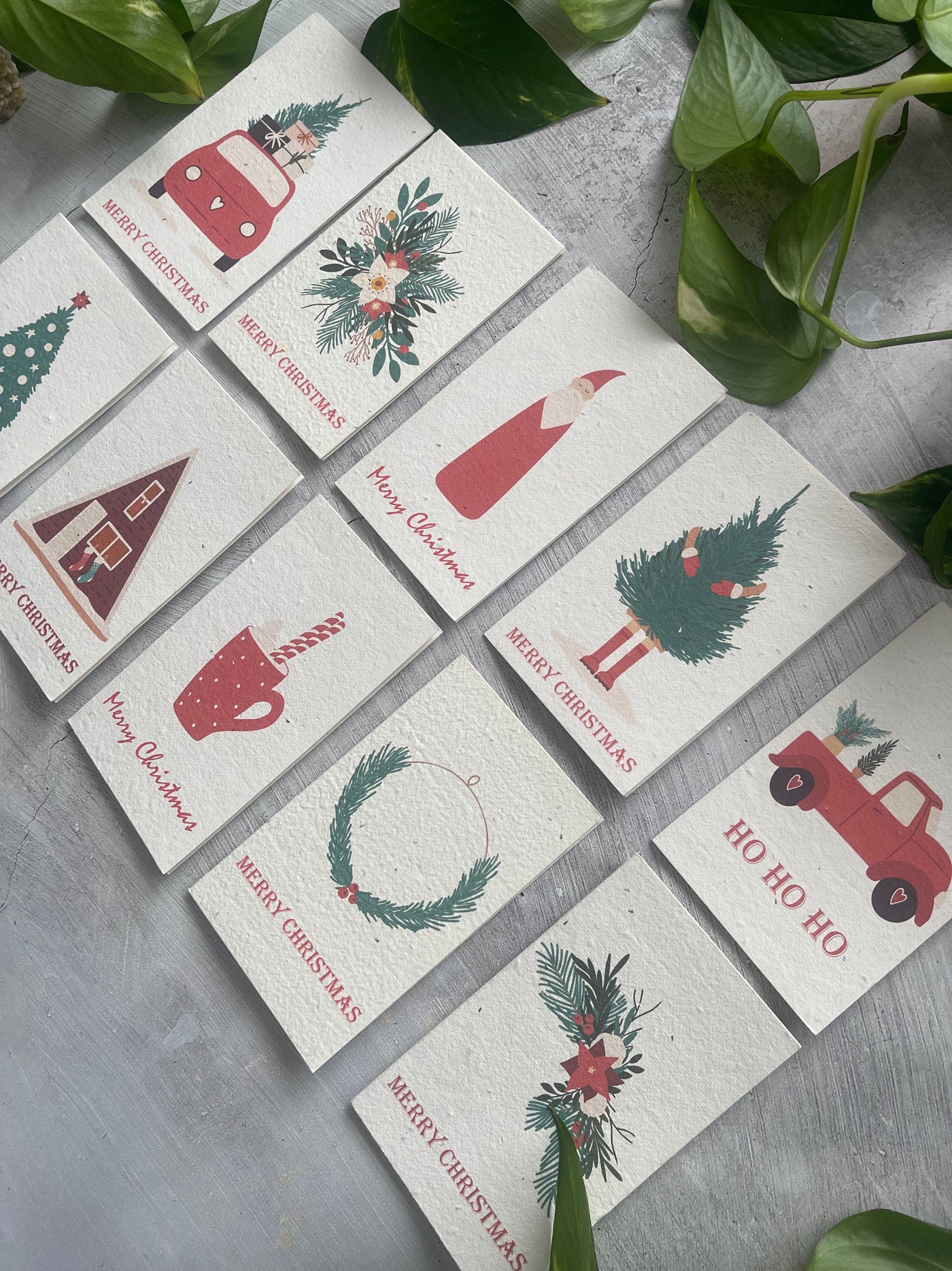 10 Plantable Christmas Cards Bundle