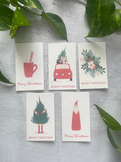 5 Plantable Christmas Cards Bundle