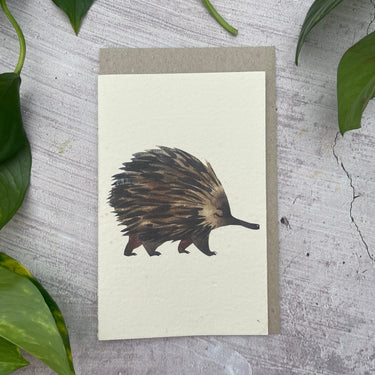 Plantable Echidna Generic Card