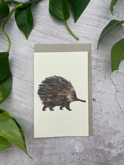 5 Plantable Aussie Animals Generic Cards