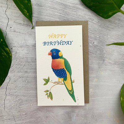 Plantable 'Rainbow Lorikeet' Birthday Card