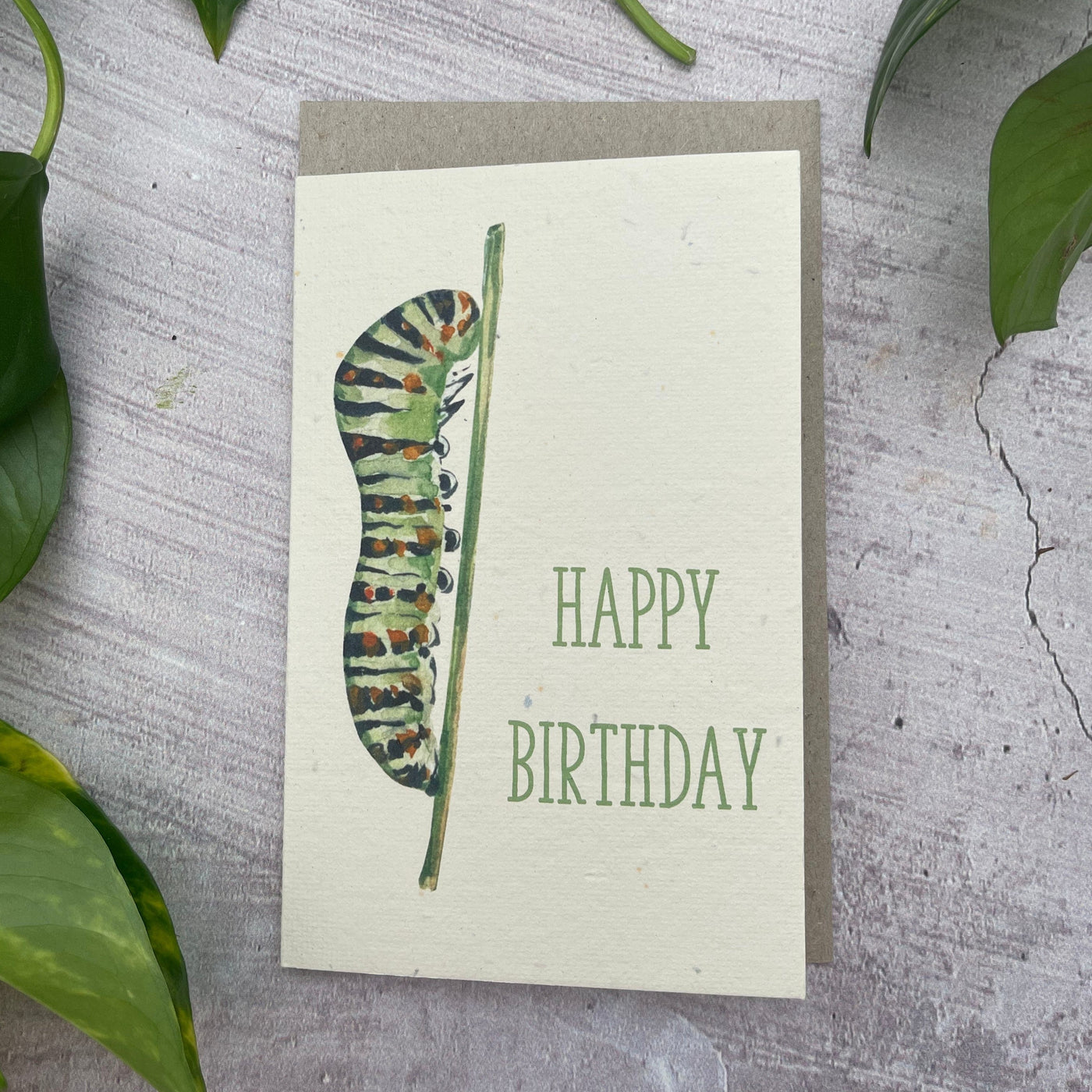 Plantable Caterpillar Birthday Card