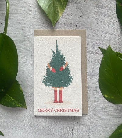 5 Plantable Christmas Cards Bundle