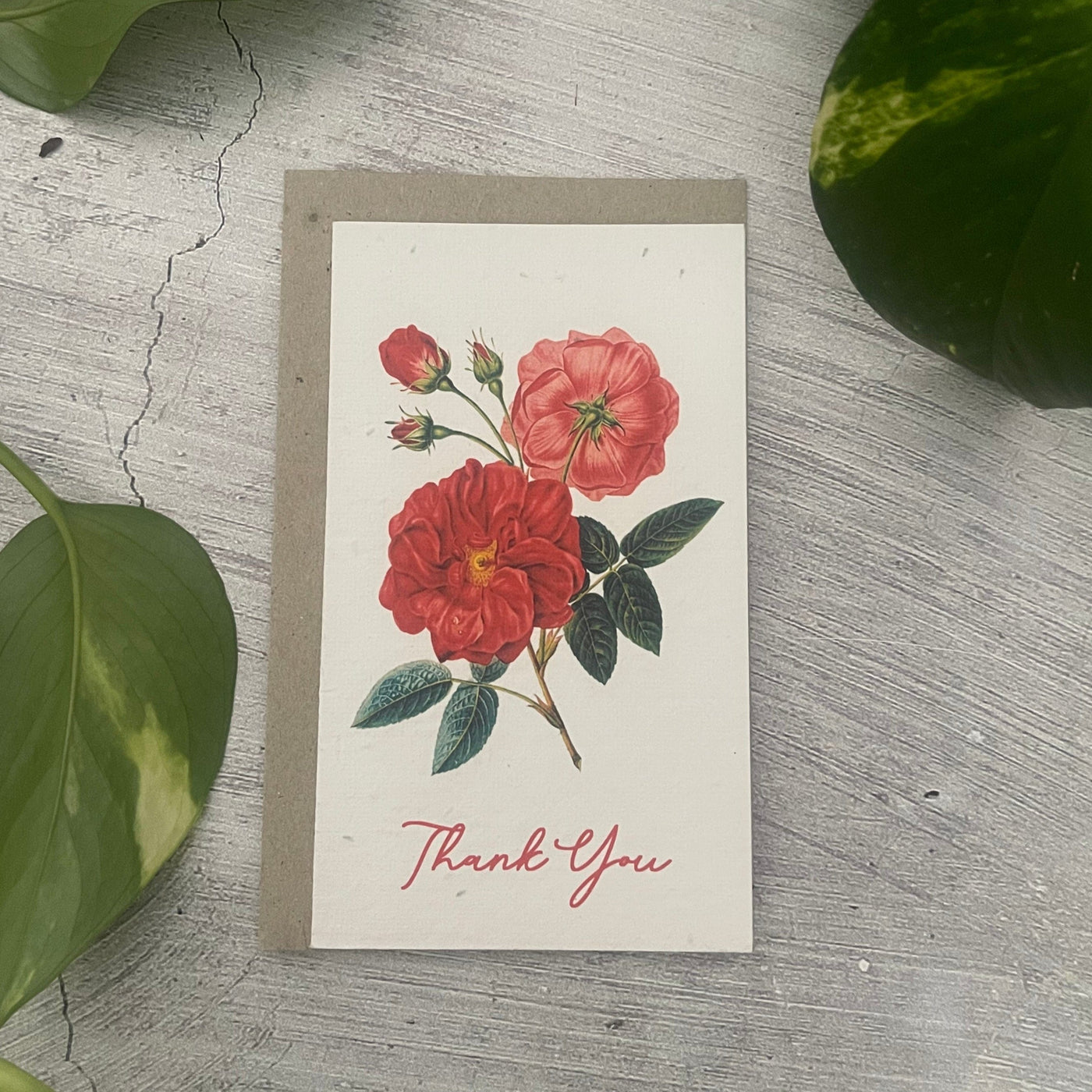 Plantable 'Botanic' Thank You Card