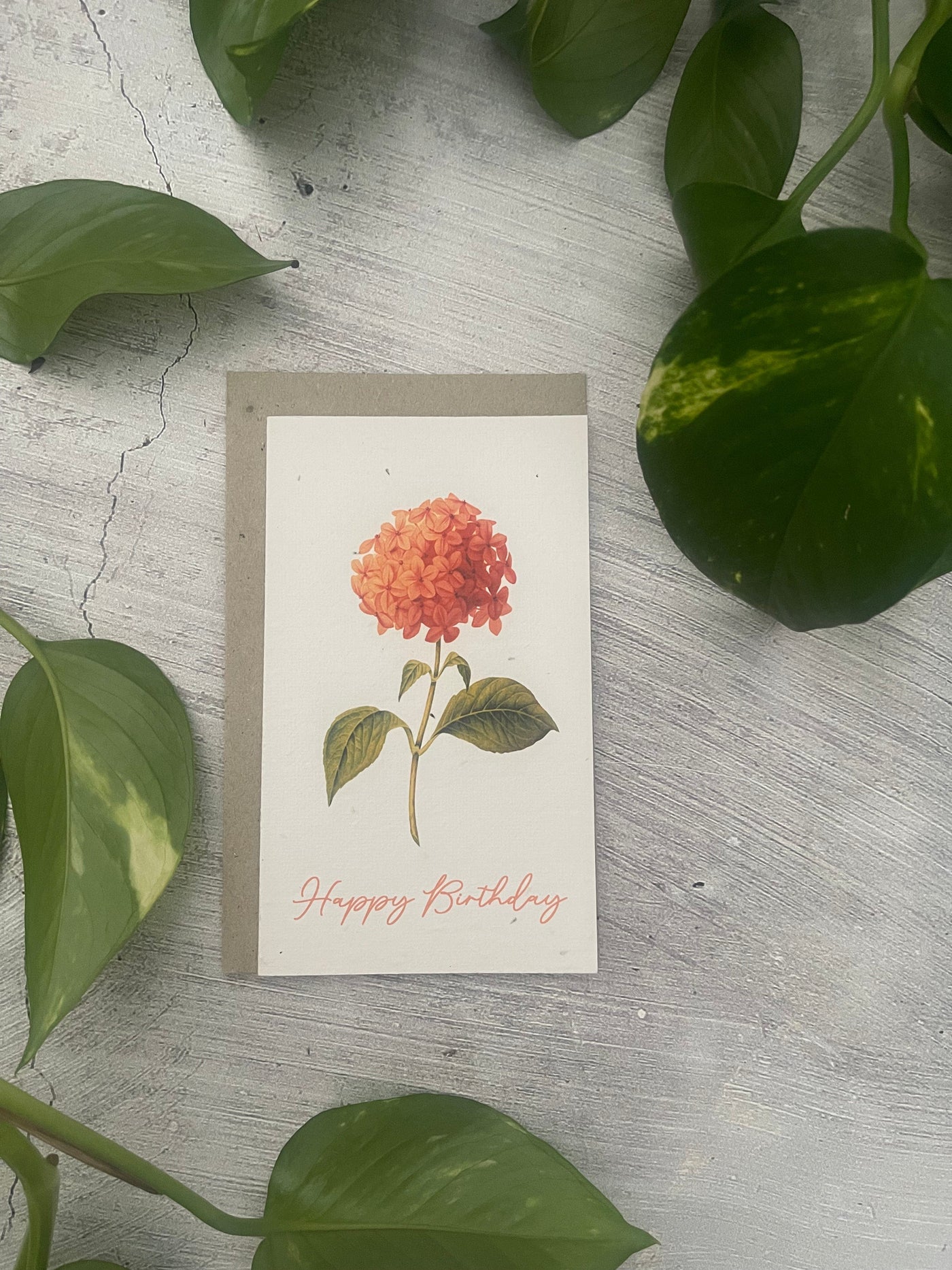 5 Plantable Floral Birthday Cards