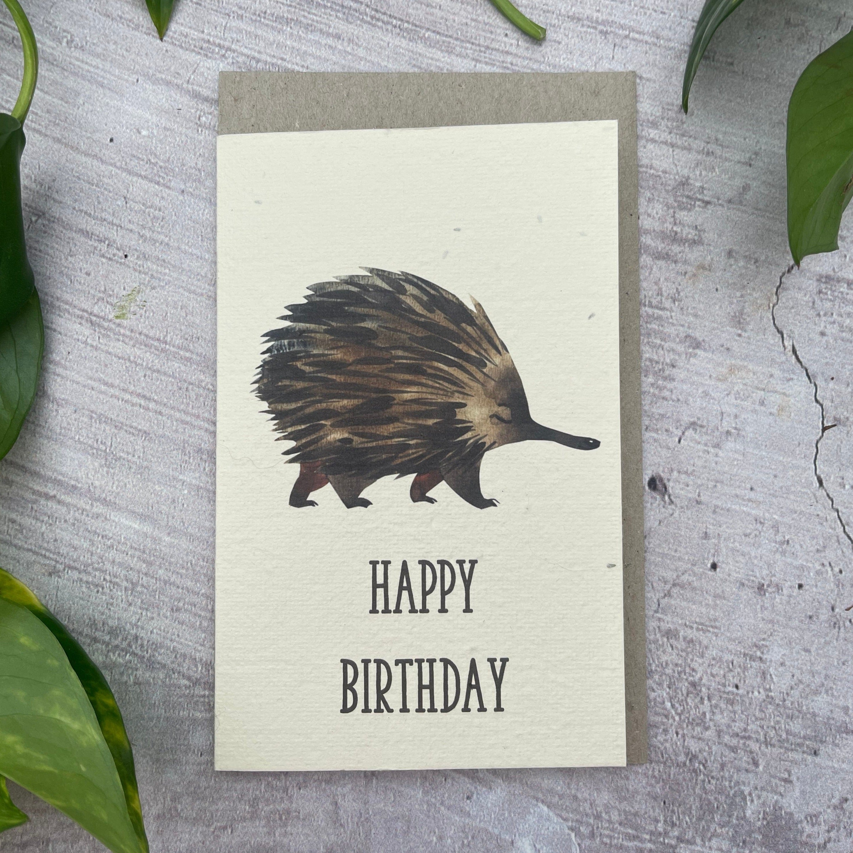 Plantable Echidna Birthday Card – Planet Go Round