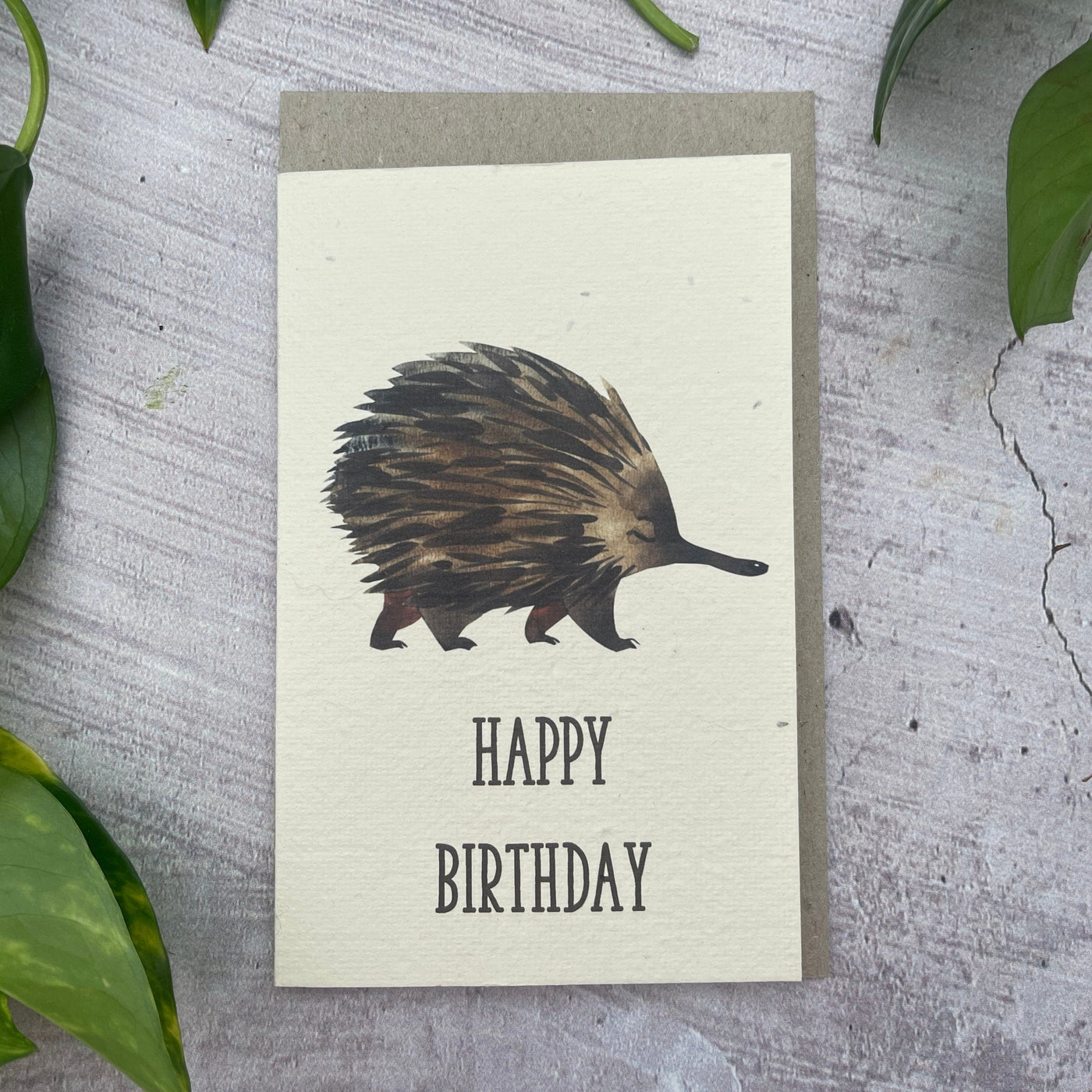 Plantable Echidna Birthday Card