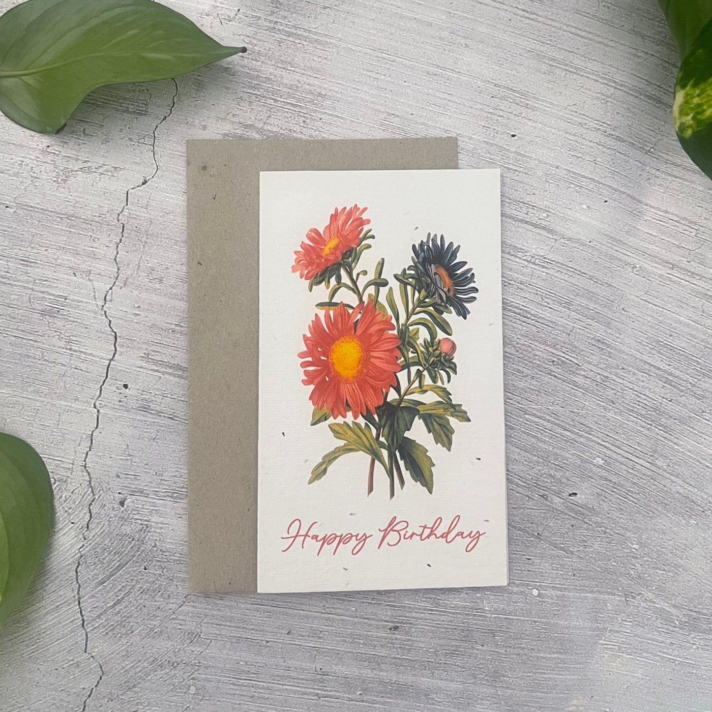 Plantable 'Daisy' Birthday Card