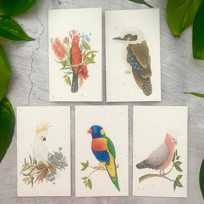 5 Plantable Australian Birds Generic Cards Bundle