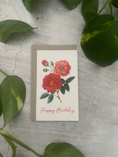 5 Plantable Floral Birthday Cards Bundle