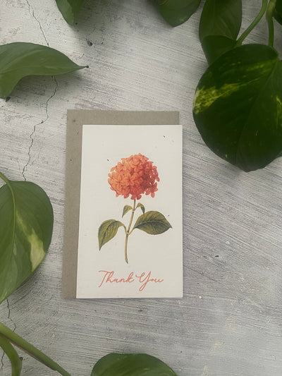 5 Plantable Floral Thank You Cards
