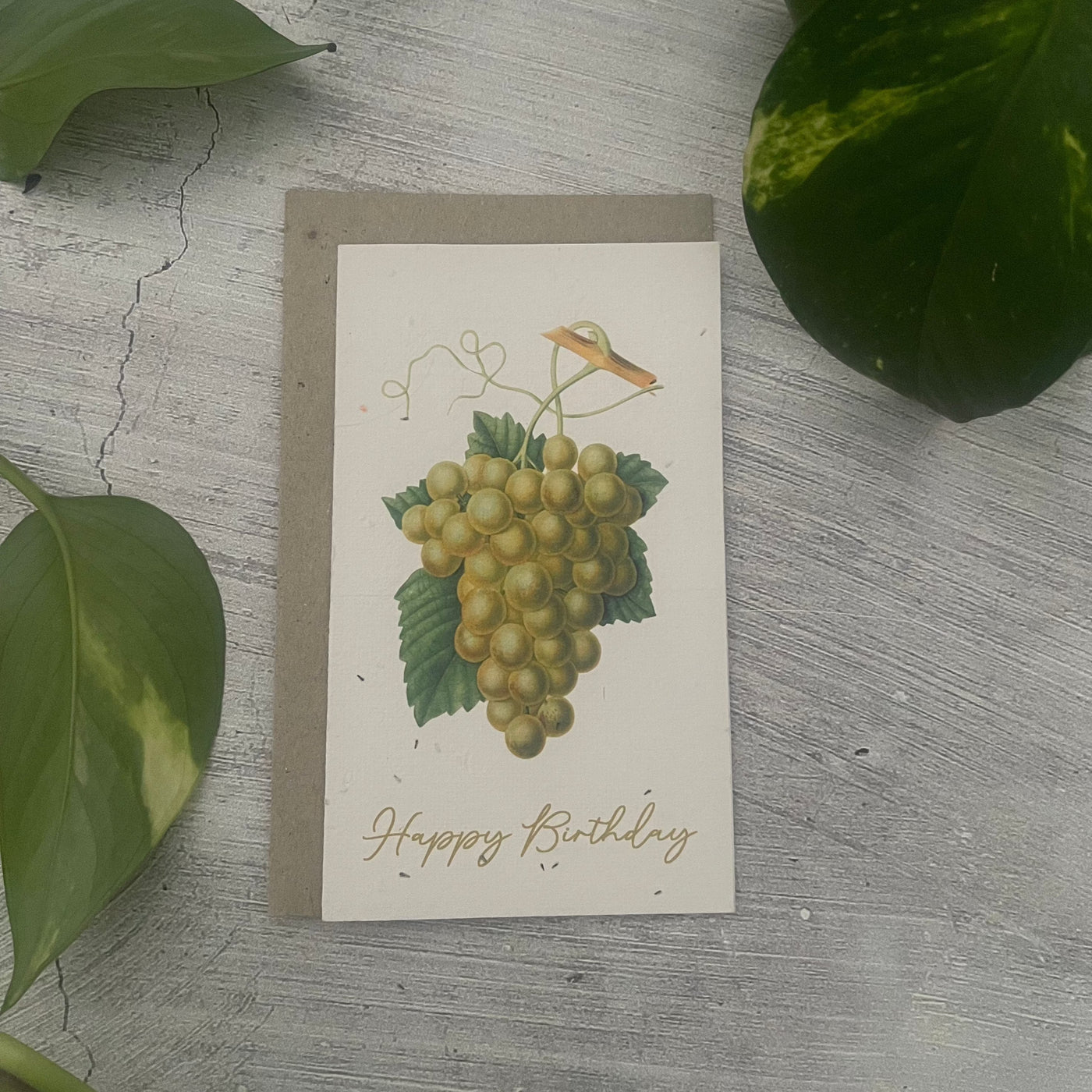 Plantable 'Grapes' Birthday Card