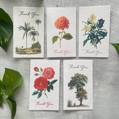 5 Plantable Floral Thank You Cards Bundle