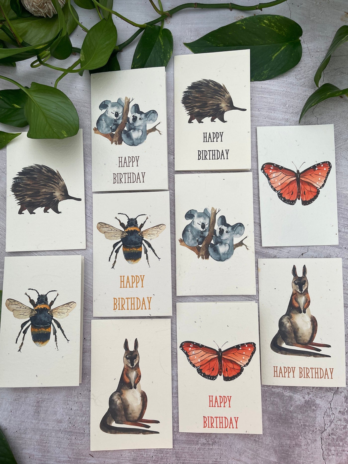 10 Plantable Aussie Animal Cards Bundle