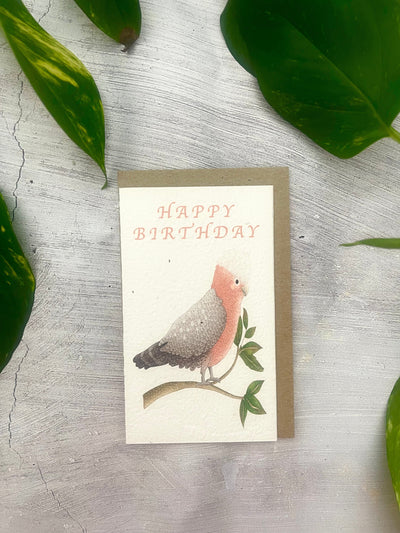 5 Plantable Australian Birds Birthday Cards