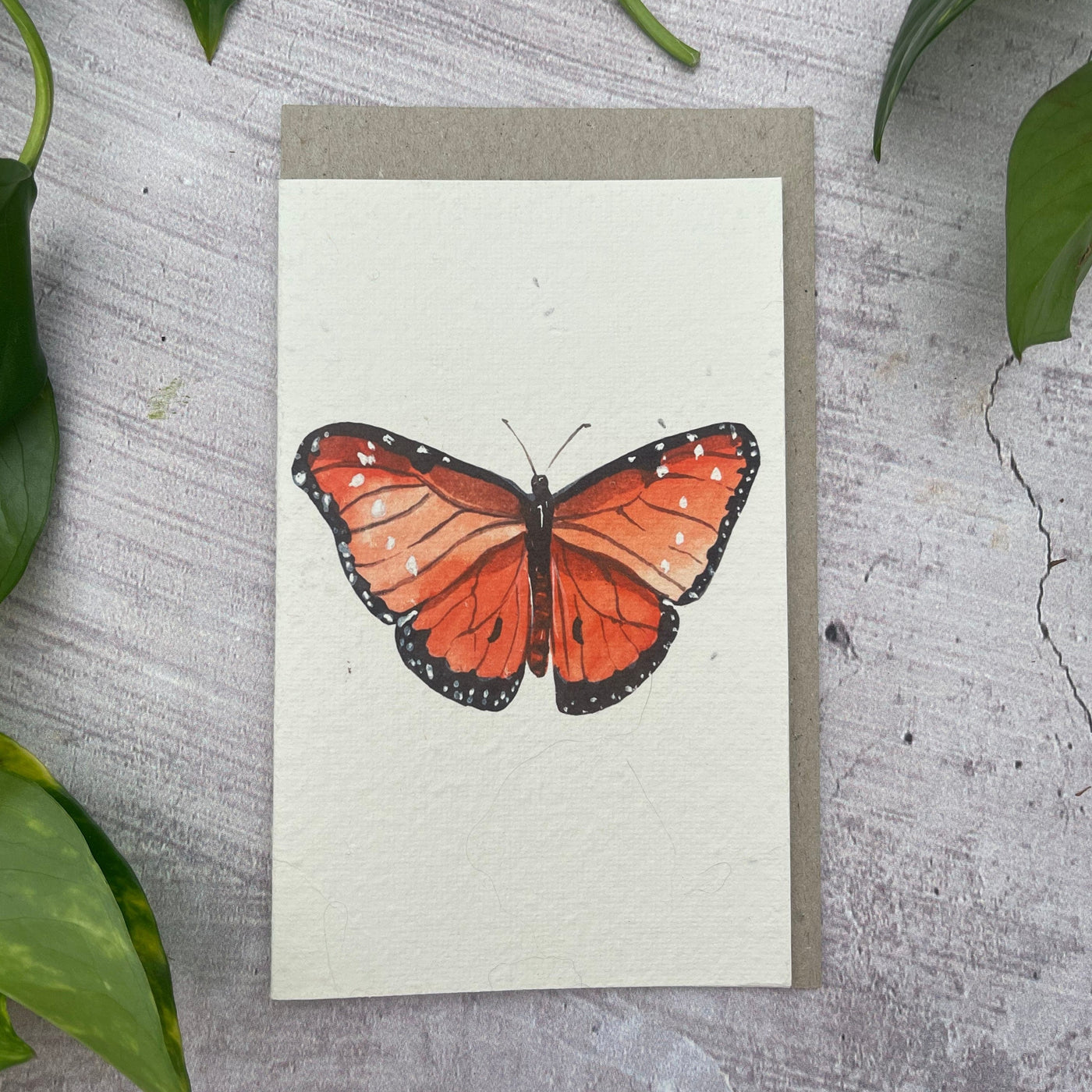Plantable Butterfly Generic Card