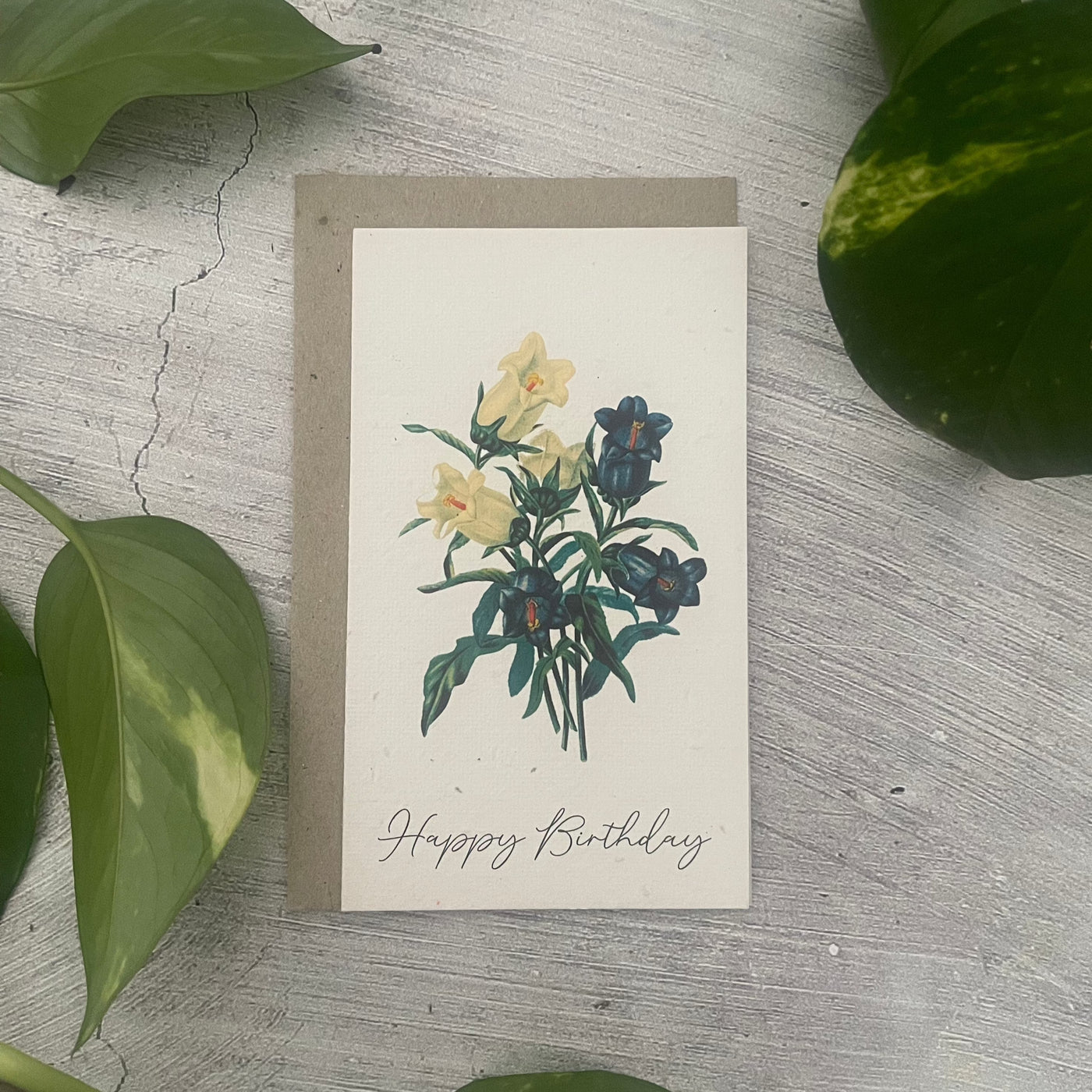 Plantable 'Bellflower' Birthday Card