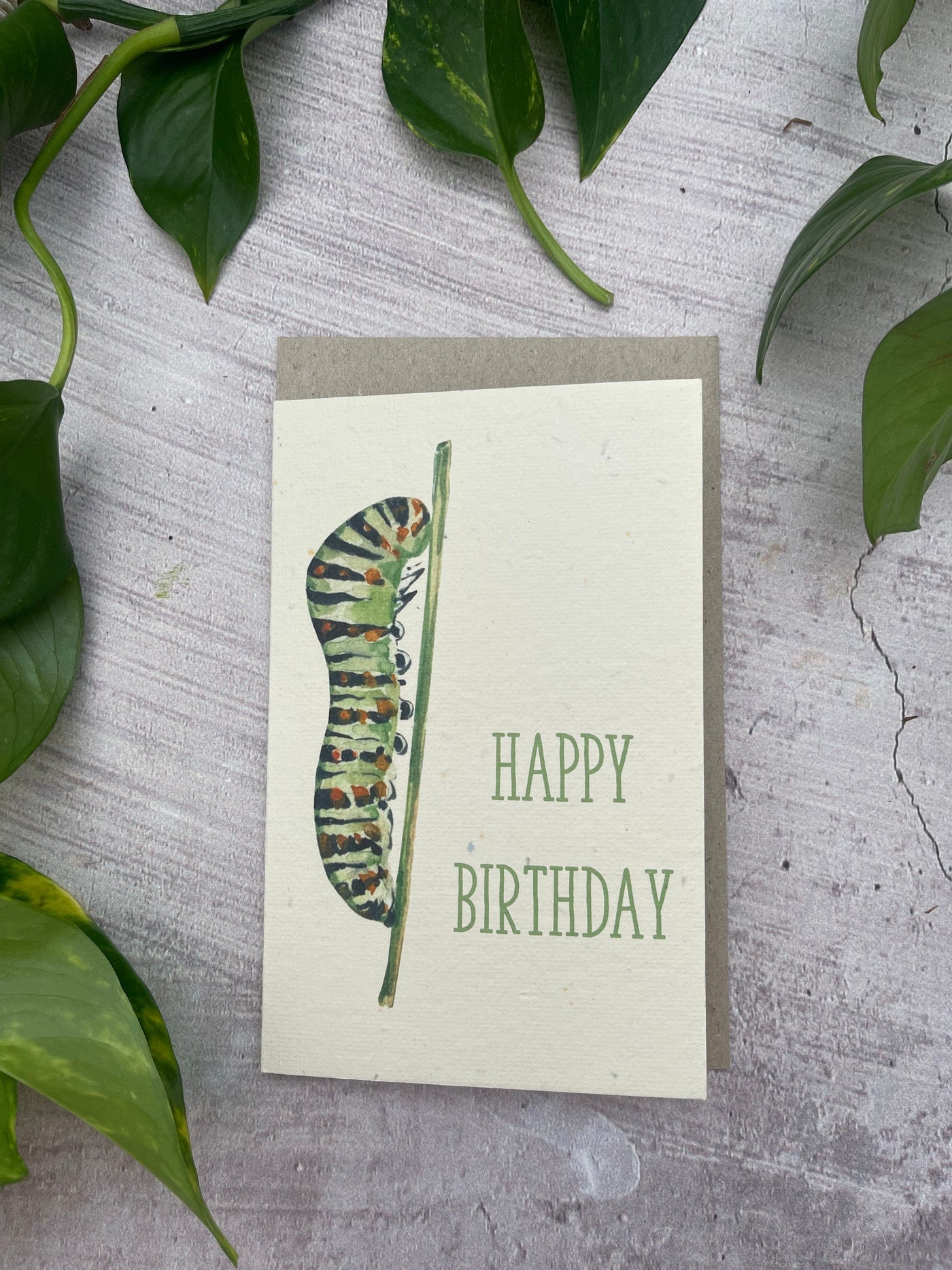 5 Plantable Aussie Animal Birthday Cards Bundle