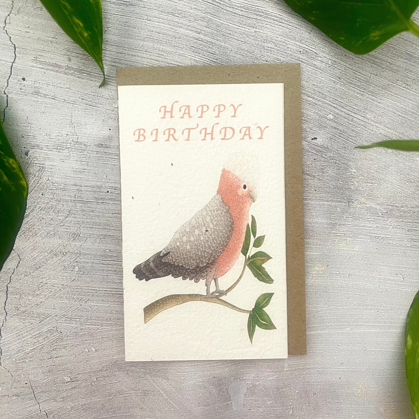 Plantable 'Galah' Birthday Card