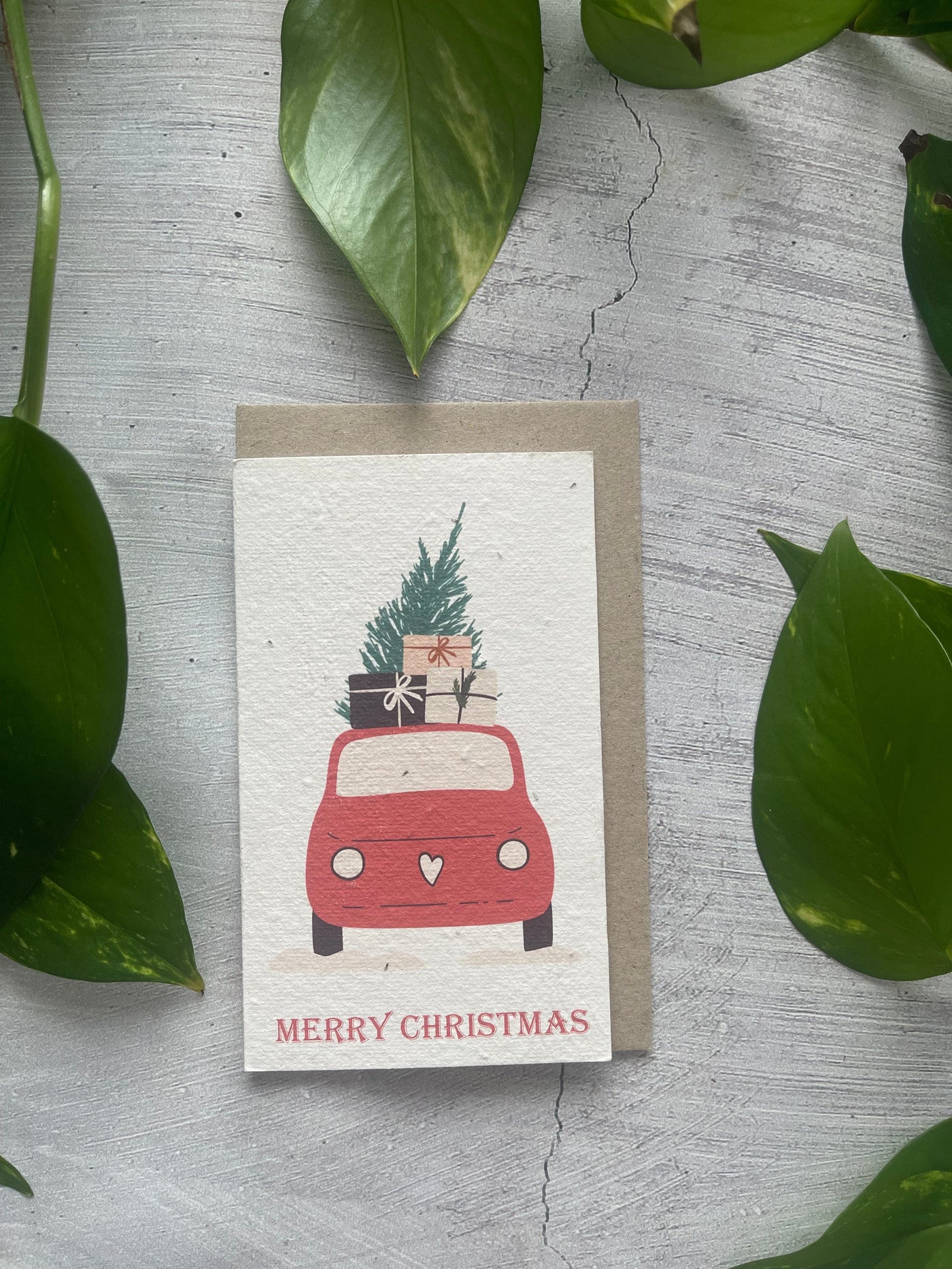 Plantable 'Santa’s Ride' Christmas Card