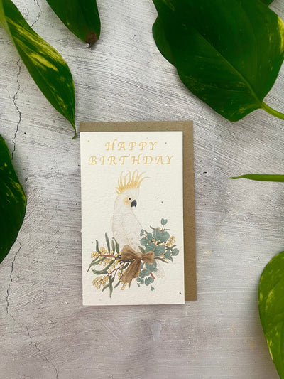 5 Plantable Australian Birds Birthday Cards