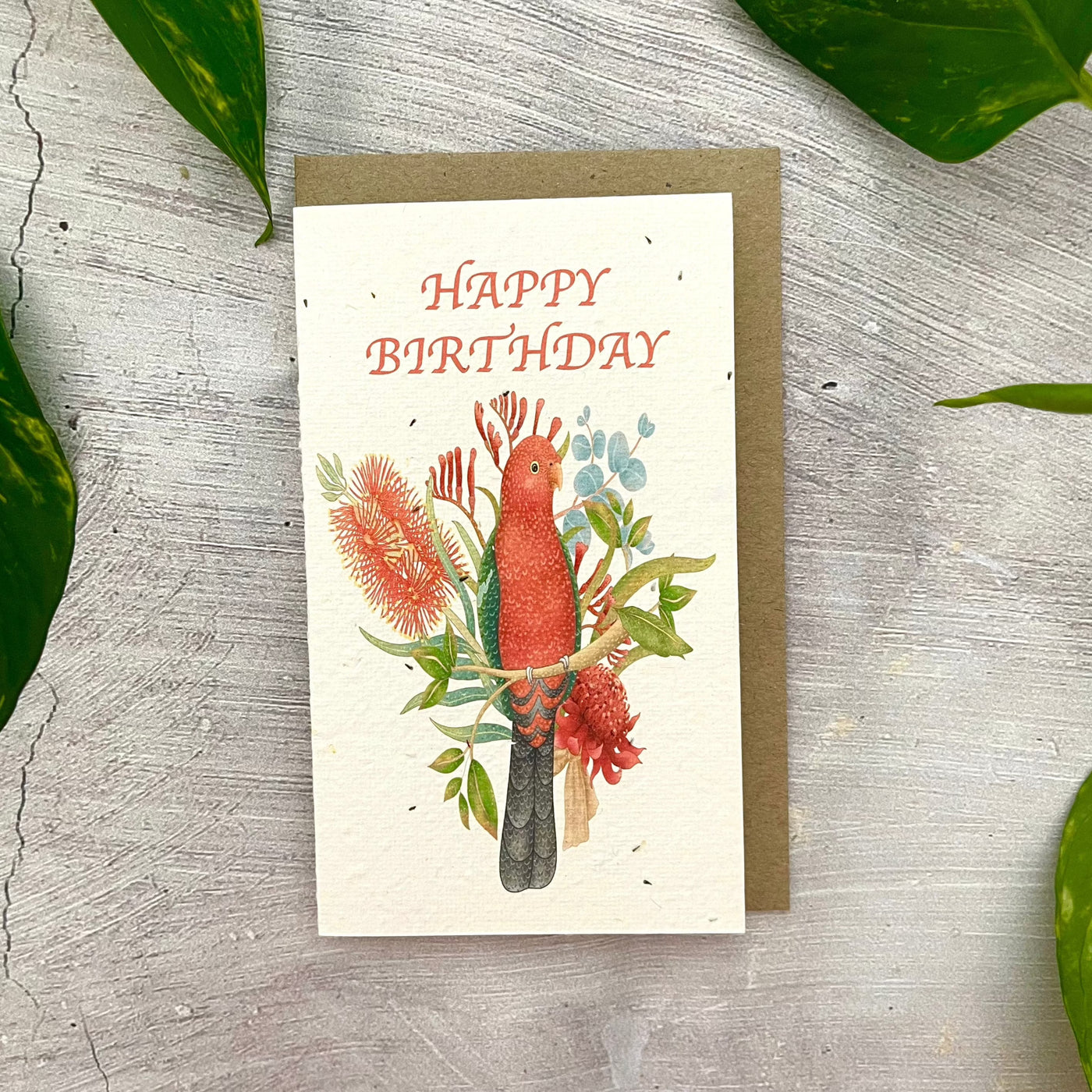 Plantable 'King Parrot' Birthday Card
