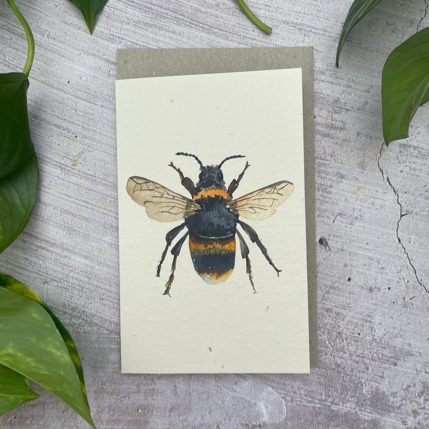 Plantable Honey Bee Generic Card