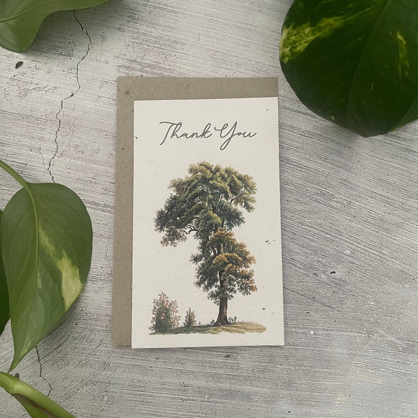 Plantable 'Standalone Tree' Thank You Card